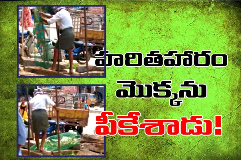 man fined as he removed harithaharam plant at vardhannapeta