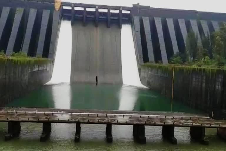 koyna dam water storage news