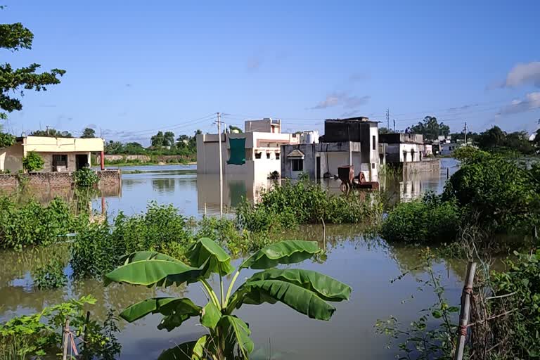 flood situation in bhandara district