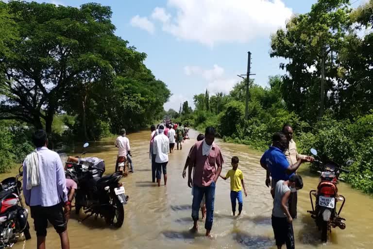 गडचिरोली जिल्ह्यात पुराचा महाप्रलय