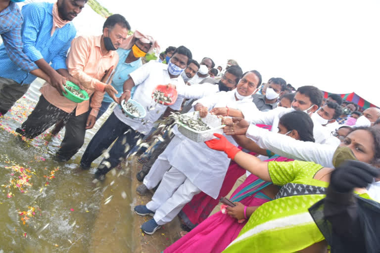 minister indrakaran reddy left fish in the swarna reservior in nirmal district