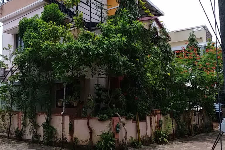 More than 300 plants were planted in Around the house   by a 60 year old man in Mangalore