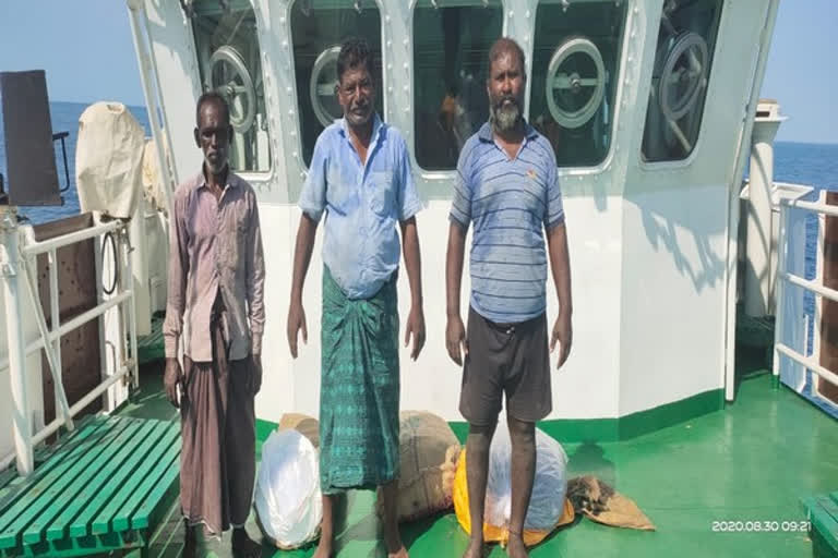 Coast Guard seizes  sea cucumber  sea cucumber from fishing boat  dhanushkodi  ധനുഷ്കോടി  കടൽപ്പുഴുക്കളെ പിടികൂടി  കടൽപ്പുഴുക്കൾ  മത്സ്യബന്ധന ബോട്ട്
