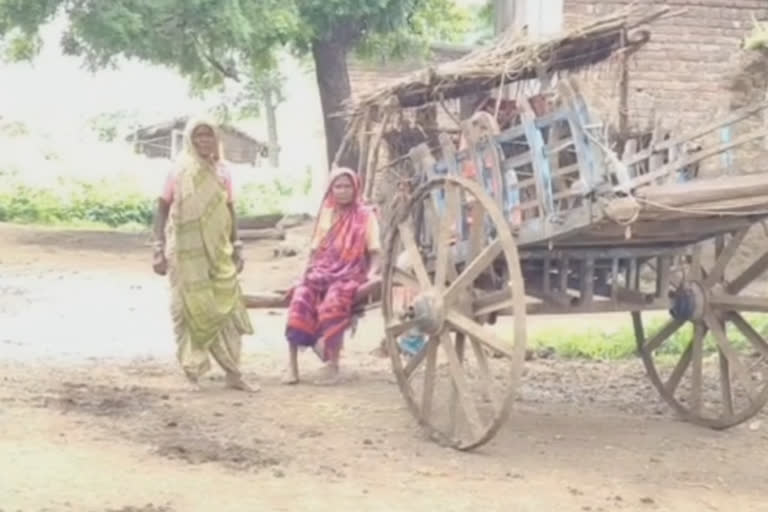 villagers of ubha dagad and dhanora are still fighting for basic amenities