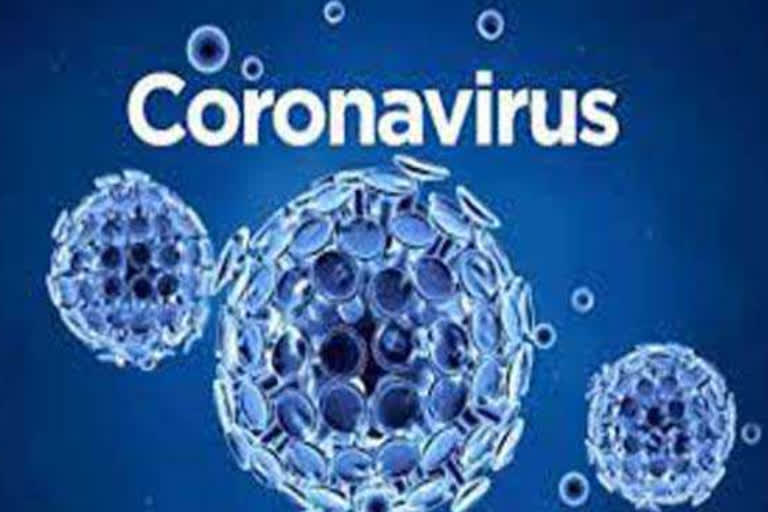 coronavirus in sirmaur