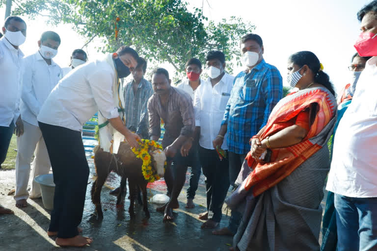 MLA visiting mutyalamma temple on  the occasion of  Bonalu festival at huzurnagar