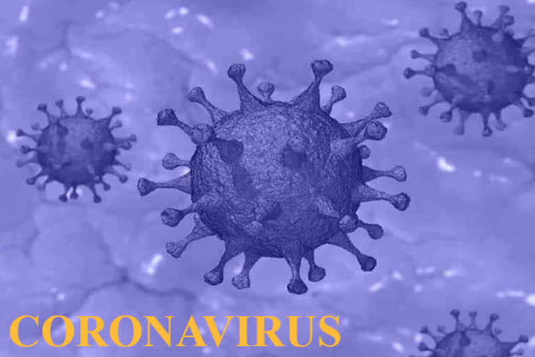 coronavirus positive in kangra