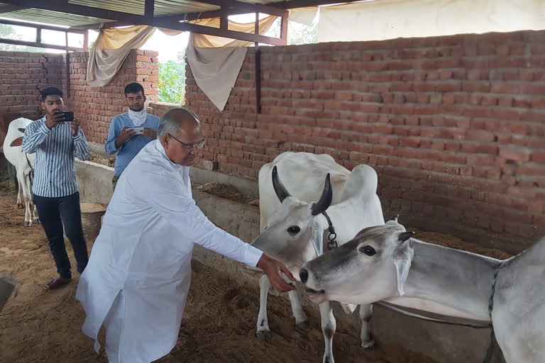 Surajgarh news, Medical room inaugurated, Gau Seva Samiti