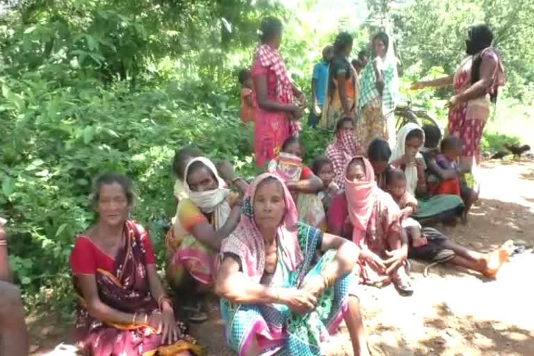 flood affected people staying at jungle in subarnapur