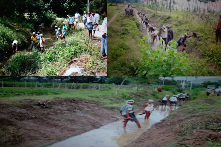 Buried crop drains- farmers removed