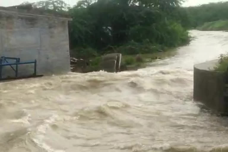 due to hole to water canel rain water came into village in kadapa dst