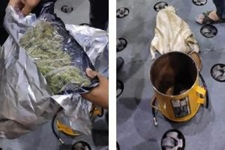 Ganja seized