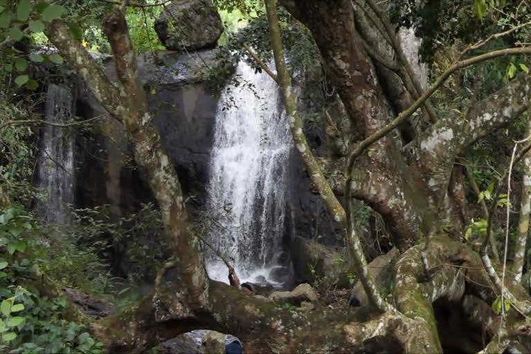 marachuvad waterfall in idukki waterfall in idukki idukki news ഇടുക്കി വാര്‍ത്തകള്‍ ഇടുക്കിയിലെ വെള്ളച്ചാട്ടം മരച്ചുവട് വെള്ളച്ചാട്ടം