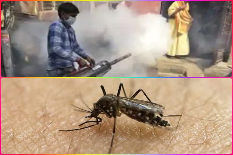 spike in dengue malaria cases in delhi