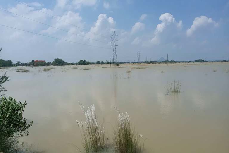 flood water in begunia block, khurdha latest news, flood water enters khurdha, flood situation in state, ବେଗୁନିଆ ବ୍ଲକରେ ବନ୍ୟା ଜଳ, ଖୋର୍ଦ୍ଧା ଲାଟେଷ୍ଟ ନ୍ୟୁଜ୍‌, ଖୋର୍ଦ୍ଧାରେ ପଶିଲା ବନ୍ୟା ଜଳ, ରାଜ୍ୟରେ ବନ୍ୟା ପରିସ୍ଥିତି