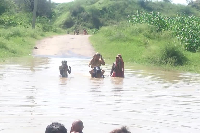 राजाखेड़ा की खबर,  चंबल नदी का जलस्तर,  कोटा बैराज और काली सिंध,  धौलपुर चंबल नदी,  dholpur news,  rajasthan news,  rajasthan hindi news,  Rajakhera news,  Water level of Chambal