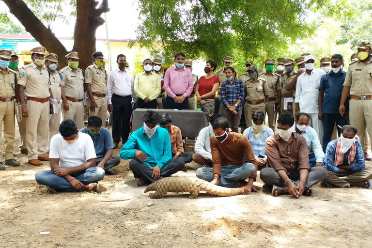 adilabad-district-forest-officials-arrested-10-peoples-for-selling-wildlife