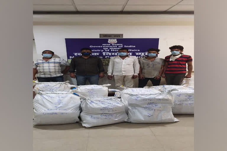 NCB seizes over 500 kg cannabis in Bihar, arrests five