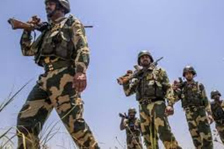 BSF nabs 5 Bangladeshis for illegally crossing border