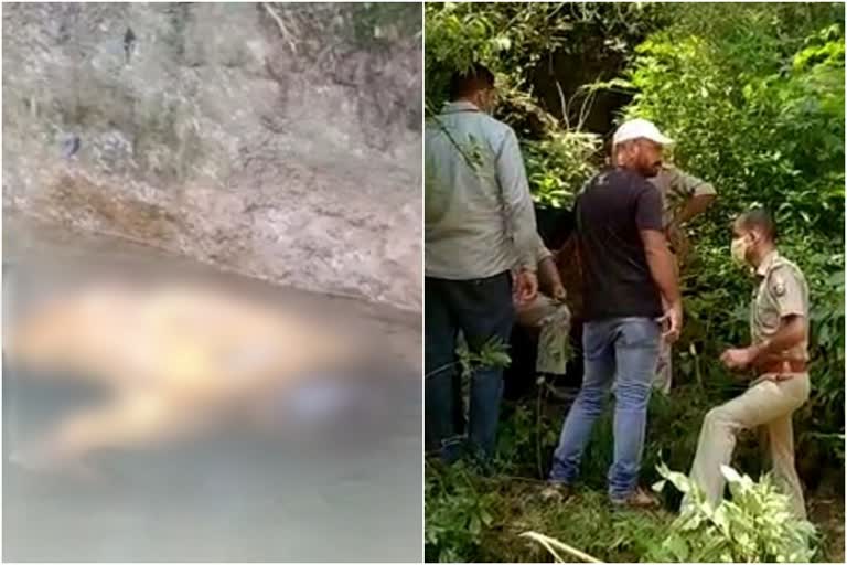 Dead body of missing person found under bridge in Noorpur