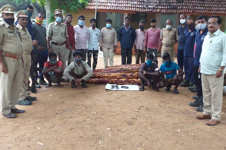 police takeover red sandalwood at chinnagottigallu