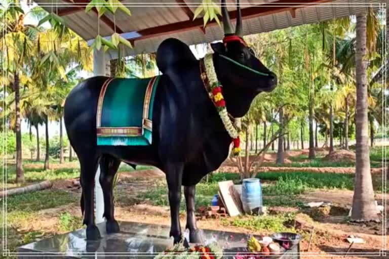 Tamil Nadu farmer erects a statue for his beloved bull