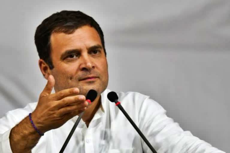 rahul-on-indian-economy