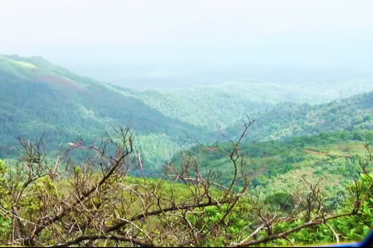 Chikamagalur