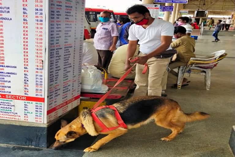 ನಾರ್ಕೋಟಿಕ್ ಎಕ್ಸ್ಪ್​ಪರ್ಟ್ ಶ್ವಾನ ರಾಣಾ