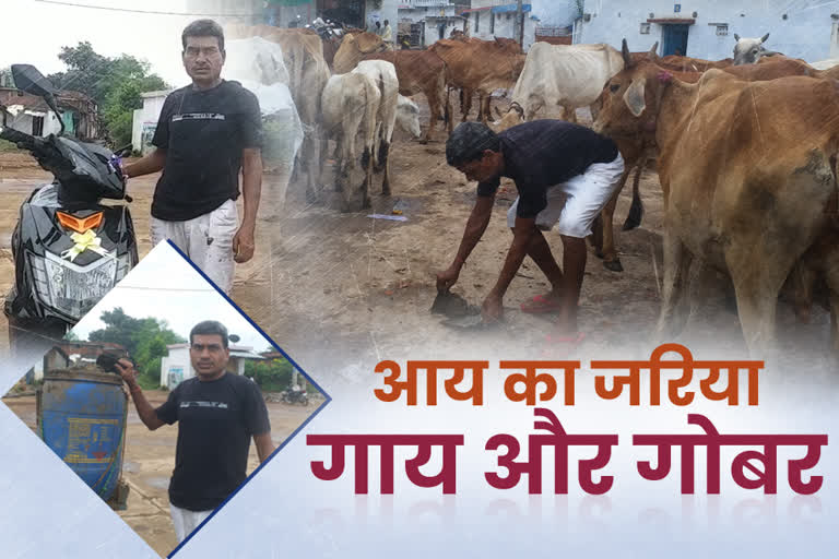 youth made cow dung a source of income