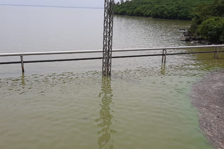 hospet tungadra dam water changed to green color