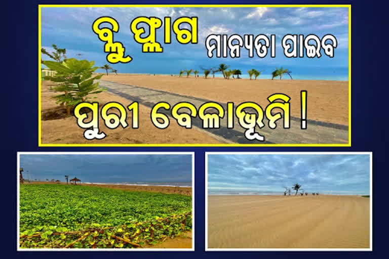 ବ୍ଲୁ ଫ୍ଲାଗ ମାନ୍ୟତା ପାଇଁ ପୁରୀ ବେଳାଭୂମି ନାଁ ସୁପାରିଶ