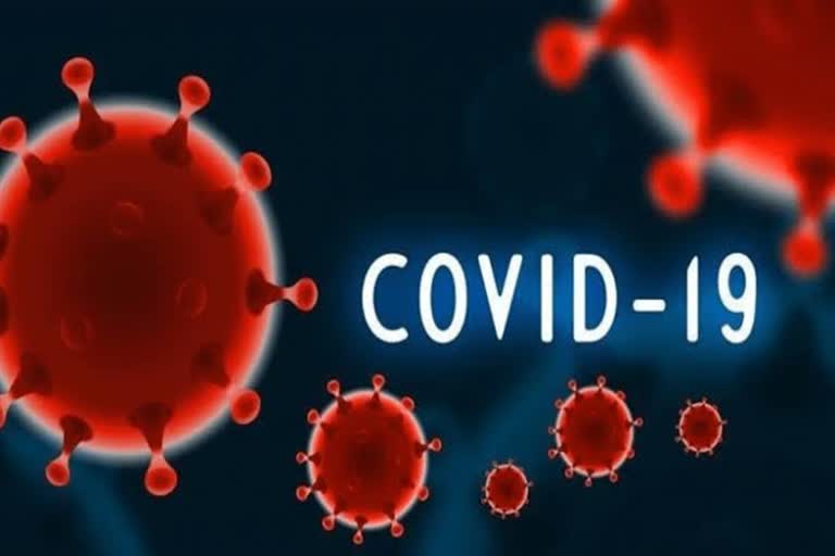 239 new covid positive patients found in Chandigarh