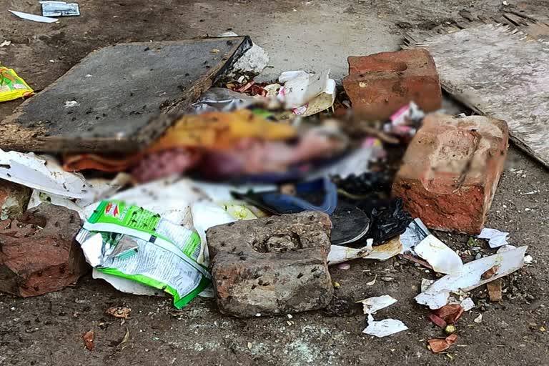 five month old girl fetus found in garbage in hisar