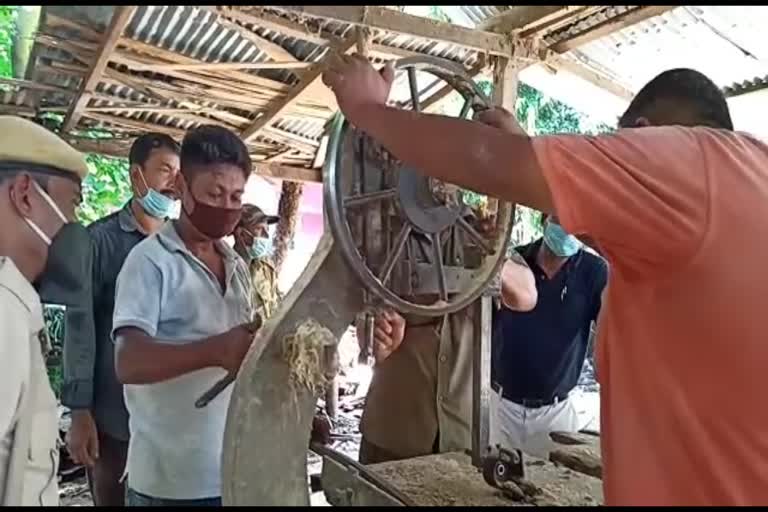 চাপৰত বন বিভাগৰ অভিযানত জব্দ মূল্যৱান কাঠৰ লগতে যন্ত্ৰ