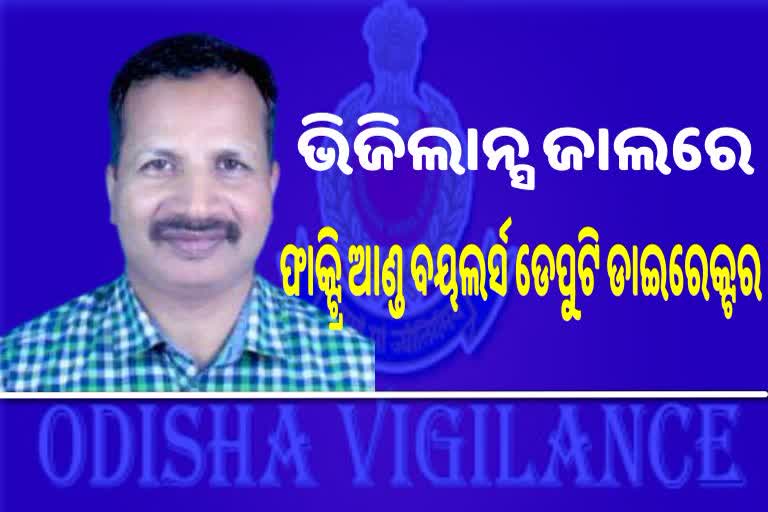 ଫାକ୍ଟ୍ରି ଆଣ୍ଡ ବୟଲର୍ସ ଡେପୁଟି ଡାଇରେକ୍ଟରଙ୍କ ଘରେ ଭିଜିଲାନ୍ସ ରେଡ୍‌