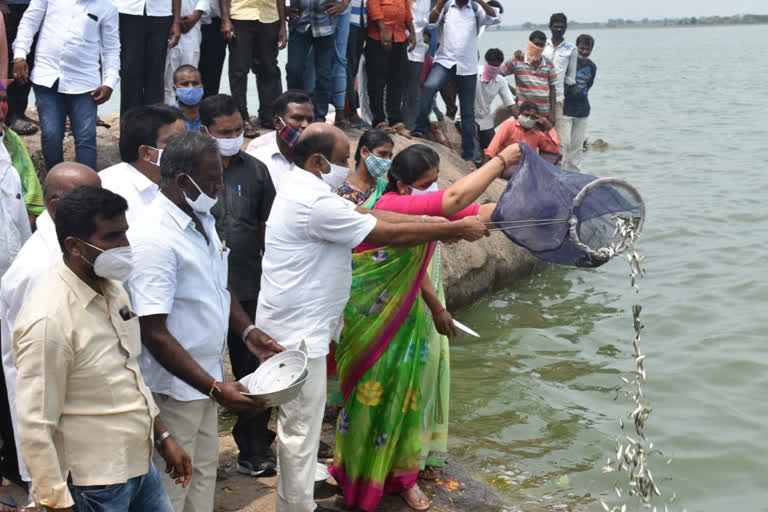 ఎలుగూర్ రంగంపేట్ చెరువులో చేప పిల్లలను వదిలిన చల్లా