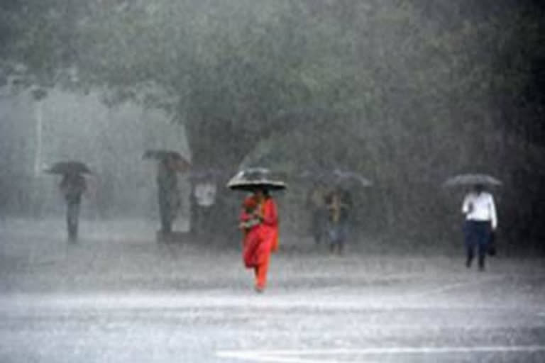 kerala rain  rain updates kerala  rain updates  kerala monsoon  കേരള മഴ വാർത്ത  മഴ കേരളം  മൺസൂൺ വാർത്ത