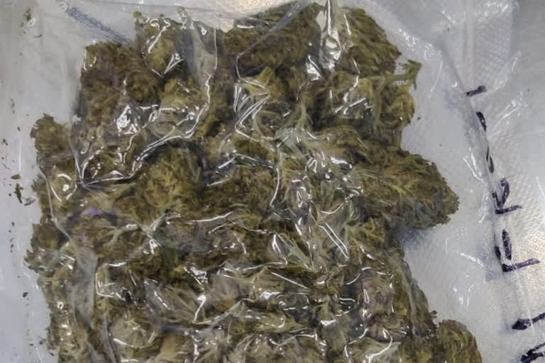 Marijuana worth Rs 1.28 crore seized at Bengaluru airport