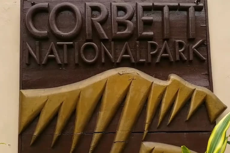 Corbett National Park