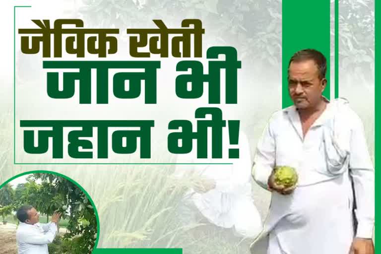 more than 150 farmers doing organic farming in kaithal district of haryana