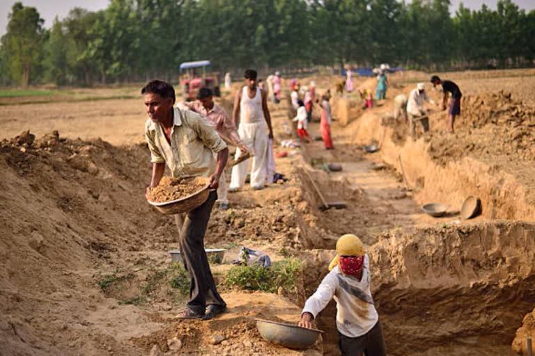 ग्रामीण रोजगार बाजार में गिरावट से भारत की बेरोजगारी की दर फिर बढ़ी