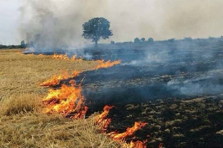 haryana chief secretary on stubble burning in haryana