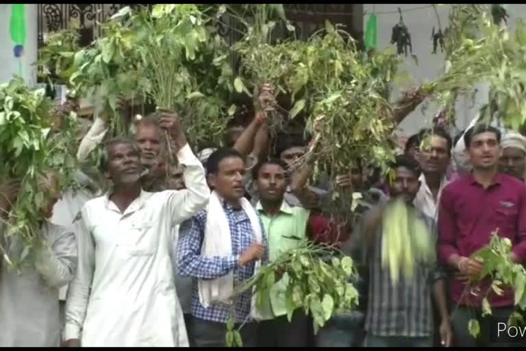 Farmers protest against taking damage crop in hand