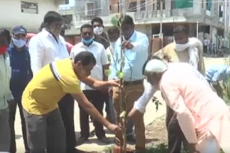 Adilabad Municipal Chairman Jogu premender Participated in Haritha haram