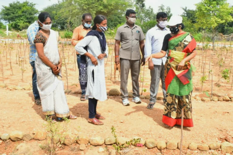 అభివృద్ధి పనుల్లో ప్రజల భాగస్వామ్యం అవసరం : కలెక్టర్ భాష