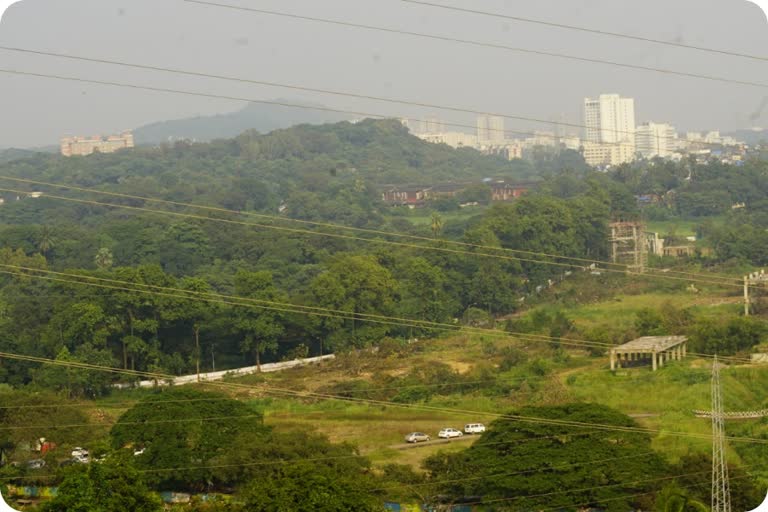 Aarey Forest