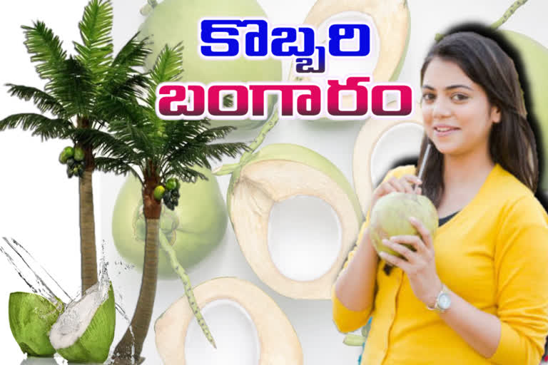 Beauty and health benefits of coconut water in Telugu