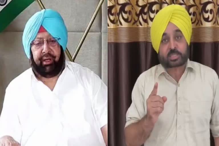 Bhagwant Mann tweeted attack on CM Captain amarinder singh