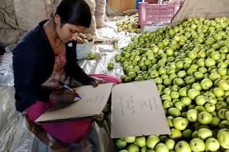 Daughters write messages in separators of apple boxes